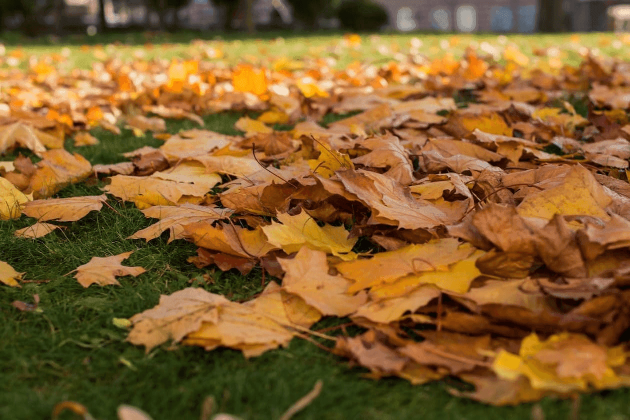 Preparing Your Vancouver Home's Exterior for Winter Rain Season